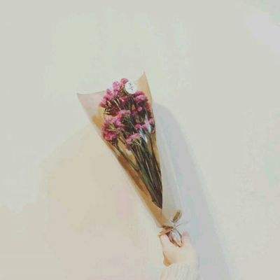 暗影战姬手游下载